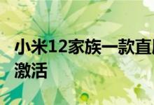 小米12家族一款直屏手机 小米12 Lite被提前激活