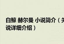 白鲸 赫尔曼 小说简介（关于白鲸 赫尔曼麦尔维尔著长篇小说详细介绍）