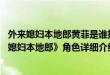 外来媳妇本地郎黄菲是谁扮演简介（关于黄菲 系列剧《外来媳妇本地郎》角色详细介绍）