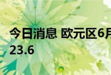 今日消息 欧元区6月消费者信心指数终值下降23.6