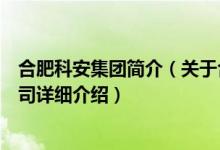 合肥科安集团简介（关于合肥科大立安安全技术股份有限公司详细介绍）