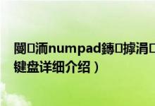 閿洏numpad鏄摢涓敭简介（关于NumPad 无线数字键盘详细介绍）