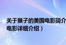 关于猴子的美国电影简介（关于飞天猴子 2013年出品英国电影详细介绍）