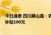 今日消息 四川屏山县：农村和外县户籍买房发房补 每平米补贴100元