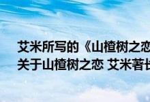 艾米所写的《山楂树之恋》被哪位导演翻拍成电影?简介（关于山楂树之恋 艾米著长篇小说详细介绍）