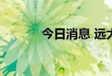 今日消息 远大智能上演地天板