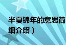 半夏锦年的意思简介（关于半夏锦年 品牌详细介绍）