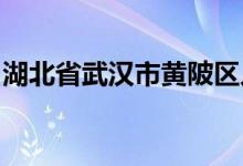 湖北省武汉市黄陂区人大常委会副主任陈双喜