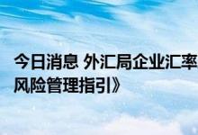 今日消息 外汇局企业汇率风险管理服务小组发布《企业汇率风险管理指引》