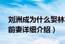 刘洲成为什么娶林苗简介（关于林苗 刘洲成前妻详细介绍）