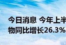 今日消息 今年上半年中越班列发送集装箱货物同比增长26.3%