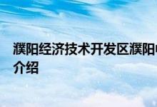 濮阳经济技术开发区濮阳中院综合审判庭庭长崔心心的详细介绍