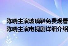 陈晓主演玻璃鞋免费观看简介（关于玻璃鞋 2014年周冬雨陈晓主演电视剧详细介绍）