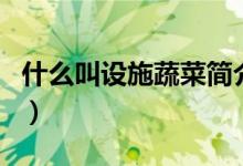 什么叫设施蔬菜简介（关于设施蔬菜详细介绍）