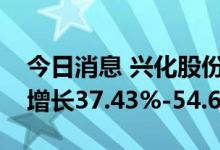 今日消息 兴化股份：预计上半年净利润同比增长37.43%-54.61%