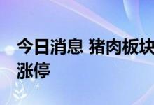 今日消息 猪肉板块继续走强 牧原股份等多股涨停