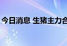 今日消息 生猪主力合约向上触及22000元/吨