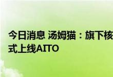 今日消息 汤姆猫：旗下核心IP创新佳作《汤姆猫总动员》正式上线AITO