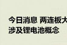 今日消息 两连板大港股份：公司现有主业不涉及锂电池概念