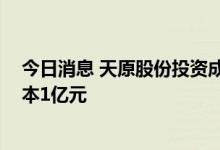 今日消息 天原股份投资成立动力电池产业创新中心 注册资本1亿元