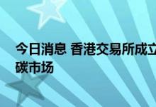 今日消息 香港交易所成立香港国际碳市场委员会 布局发展碳市场