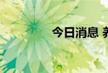 今日消息 养殖业板块走低