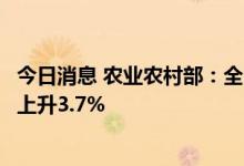 今日消息 农业农村部：全国农产品批发市场猪肉均价比昨天上升3.7%