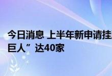 今日消息 上半年新申请挂牌新三板企业203家 专精特新“小巨人”达40家