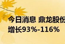 今日消息 鼎龙股份：预计上半年净利润同比增长93%-116%