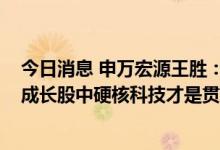 今日消息 申万宏源王胜：A股下半年能否转牛核心看出口，成长股中硬核科技才是贯穿十年的主线