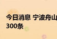 今日消息 宁波舟山港航线量创新高 总数已达300条