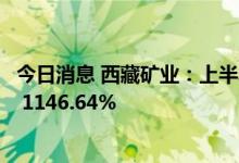 今日消息 西藏矿业：上半年预计净利润同比增长840.86% - 1146.64%