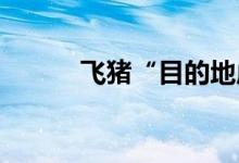 飞猪“目的地虚拟代言人”亮相