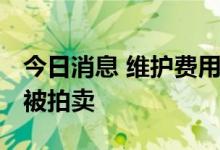 今日消息 维护费用上升 德国巨型欧元雕塑将被拍卖