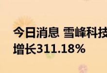 今日消息 雪峰科技：预计上半年净利润同比增长311.18%