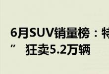 6月SUV销量榜：特斯拉Model Y“一战封神” 狂卖5.2万辆