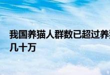 我国养猫人群数已超过养狗人群 央视：宠物博主1条视频赚几十万