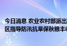 今日消息 农业农村部派出工作组和专家组深入东北和西北地区指导防汛抗旱保秋粮丰收