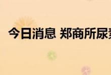 今日消息 郑商所尿素期货主力合约大跌5%