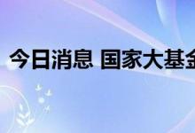 今日消息 国家大基金持股概念板块异动下跌