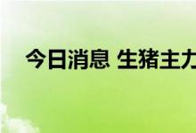 今日消息 生猪主力合约突破23000元/吨