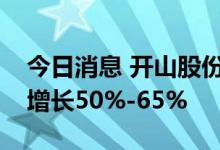 今日消息 开山股份：预计上半年净利润同比增长50%-65%