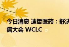 今日消息 迪哲医药：舒沃替尼临床数据入选2022年世界肺癌大会 WCLC