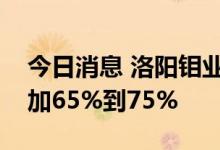 今日消息 洛阳钼业：预计上半年净利同比增加65%到75%