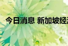 今日消息 新加坡经济二季度同比增长4.8%