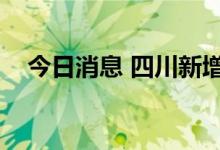 今日消息 四川新增本土无症状感染者1例