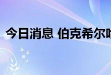 今日消息 伯克希尔哈撒韦增持西方石油公司