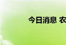 今日消息 农业板块持续走低