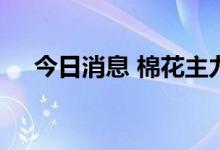 今日消息 棉花主力合约日内暴涨8.00%