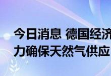 今日消息 德国经济部发言人：正在尽一切努力确保天然气供应